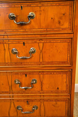 English Yew Wood Four Drawer File Cabinet